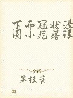 下面冠状沟有一圈小疙瘩很小