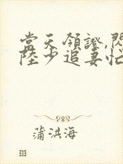 当天领证,闪婚陆少追妻忙(短剧)