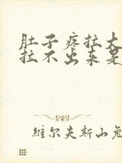 肚子疼拉大便又拉不出来是什么原因封面