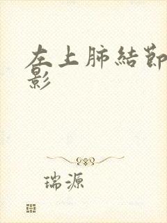 左上肺结节钙化影