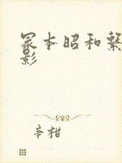 冢本昭和系列电影封面