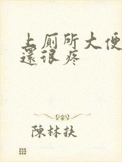 上厕所大便出血还很疼封面