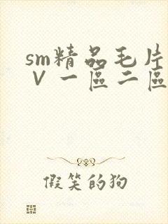 sm精品毛片a∨一区二区三区