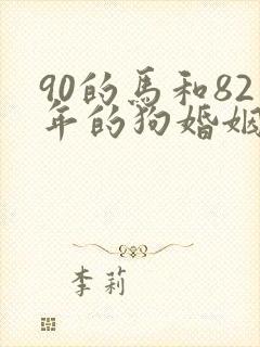 90的马和82年的狗婚姻怎么样封面