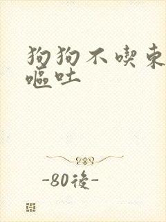 狗狗不吃东西,呕吐封面