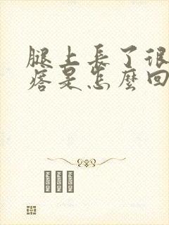 腿上长了很多疙瘩是怎么回事封面