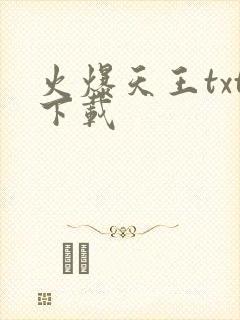 火爆天王txt下载