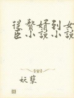 从赘婿到女帝宠臣小说小说封面