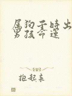 属狗子时出生的男孩命运