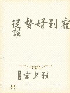 从赘婿到宠臣小说