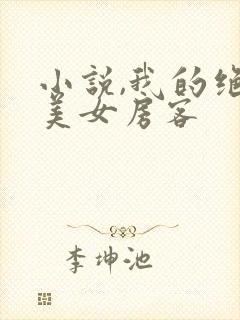 小说,我的绝色美女房客