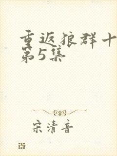 重返狼群十周年第5集