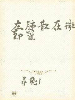 左肺散在微小结节灶