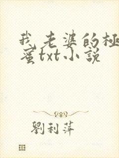 我老婆的极品闺蜜txt小说