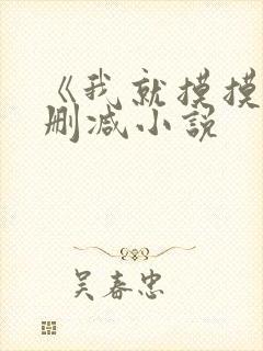 《我就摸摸》无删减小说