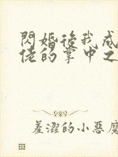 闪婚后我成了大佬的掌中之物25