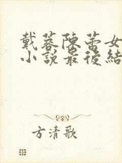 戴蓉陈蕾女婿的小说最后结局