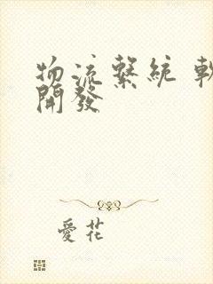 物流系统 软件开发