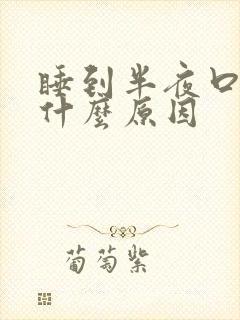 睡到半夜口苦是什么原因