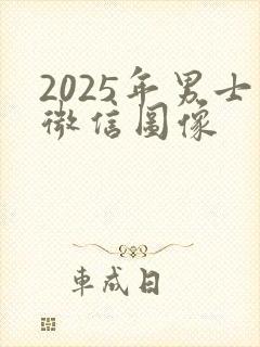 2025年男士微信图像