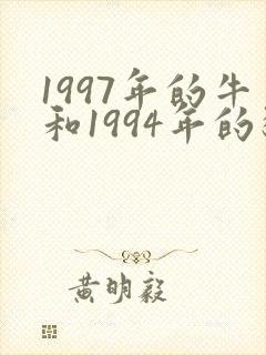 1997年的牛和1994年的狗婚姻