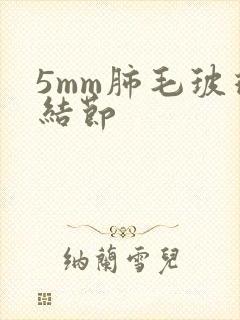 5mm肺毛玻璃结节