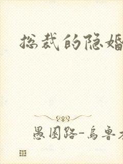 总裁的隐婚妻子封面