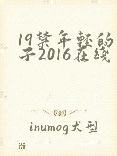 19禁年轻的妻子2016在线