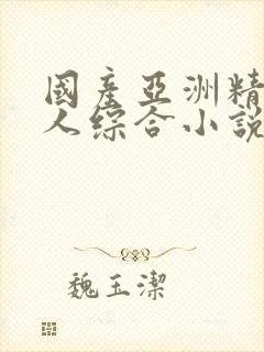 国产亚洲精品成人综合小说