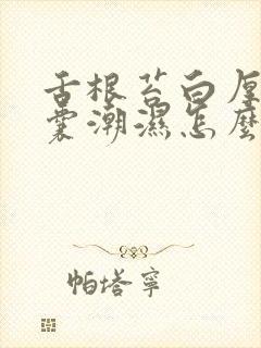 舌根苔白厚腻阴囊潮湿怎么回事