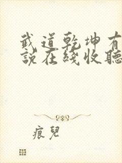 武道乾坤有声小说在线收听