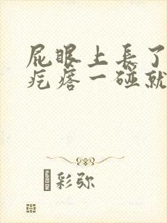 屁眼上长了个硬疙瘩一碰就疼封面