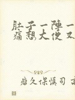 肚子一阵一阵的痛想大便又拉不出