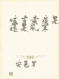 咳有黄痰是风热还是风寒