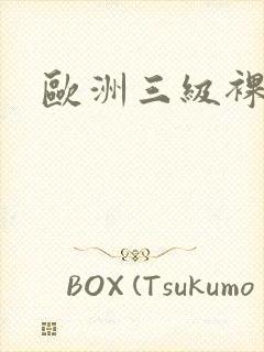 欧洲三级裸体封面