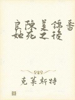 良陈美锦番外三她死之后