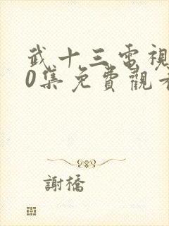 武十三电视剧40集免费观看