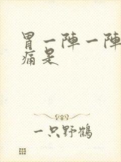 胃一阵一阵的绞痛是