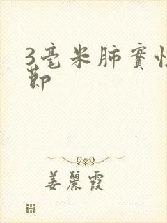 3毫米肺实性结节