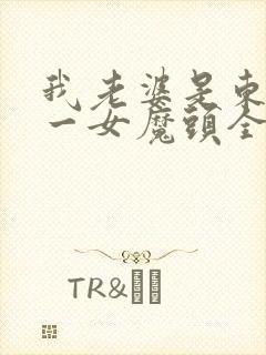 我老婆是东晋第一女魔头全文