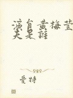 演员黄梅莹的丈夫是谁