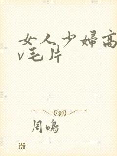 女人少妇高潮av毛片