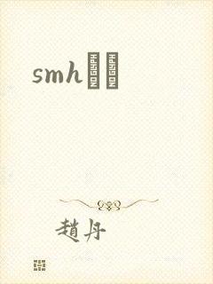smhС˵