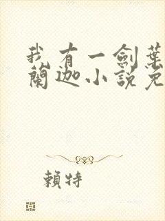 我有一剑叶观纳兰迦小说免费全集