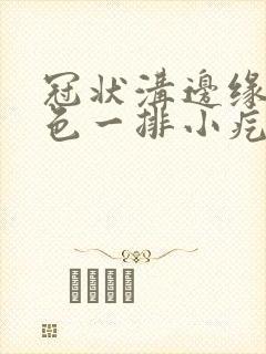 冠状沟边缘长肉色一排小疙瘩