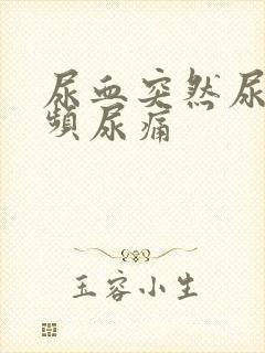 尿血突然尿急尿频尿痛封面