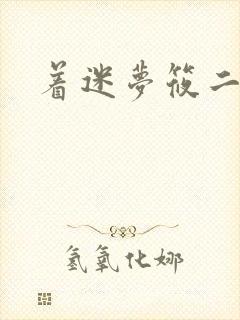 着迷梦筱二封面