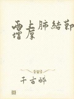 两上肺结节胸膜增厚