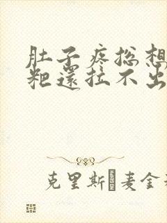 肚子疼总想拉粑粑还拉不出来封面