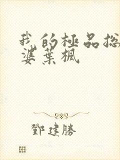 我的极品总裁老婆叶枫